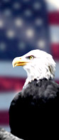 INFO USA